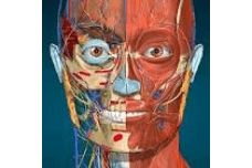 Anatomy Learning