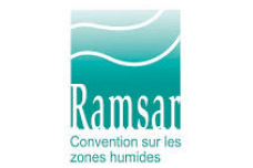 Ramsat